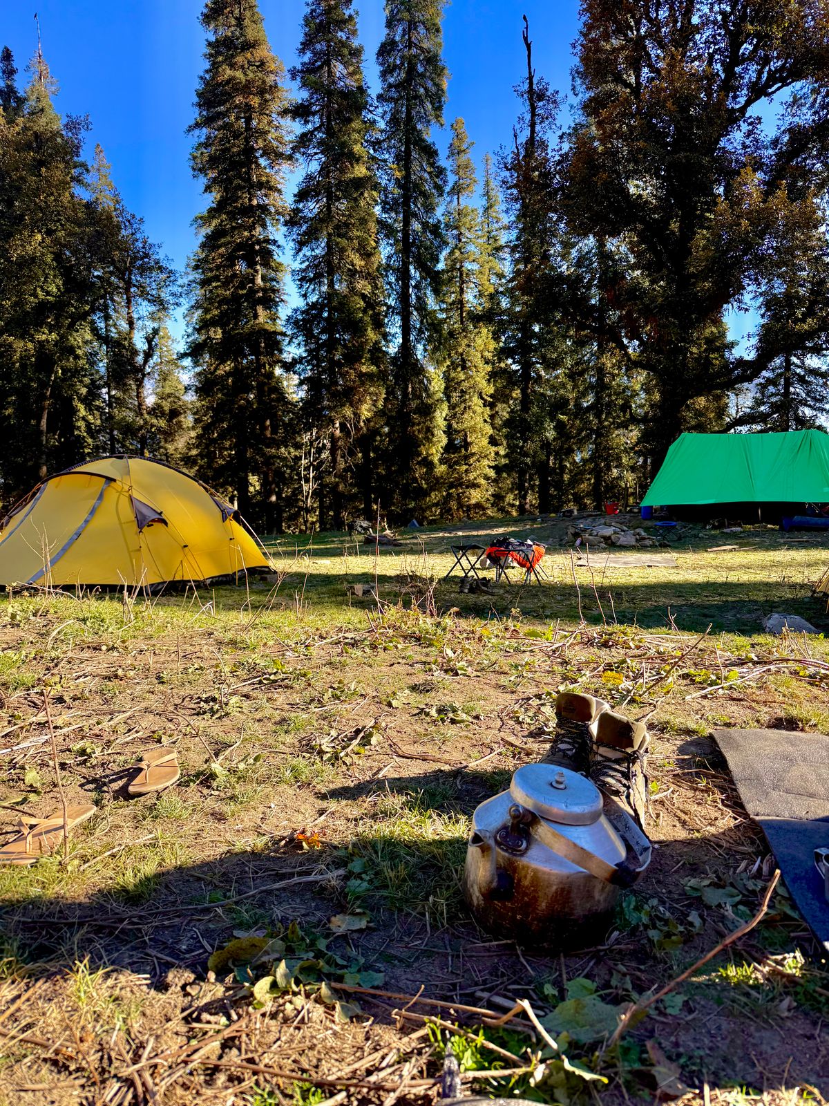 Wilderness Hygiene on a Budget: What I Learned From My First Year of Hiking